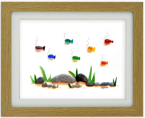 Rainbow Fish