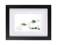 Load image into Gallery viewer, Turtles