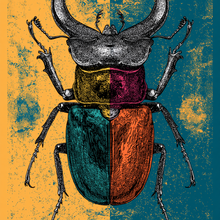 Load image into Gallery viewer, Stag Beetle Pop Art Poster, Warhol Style Insect Print, Bold Colourful Wall Art